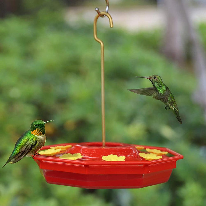 Hummingbird Feeder With Perch And Built-in Ant Moat